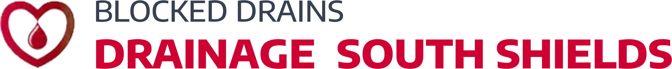 website logo